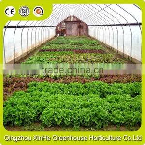 High Quality Low Price Galvanized Steel Tunnel Agricultural Greenhouse thumbnail-5