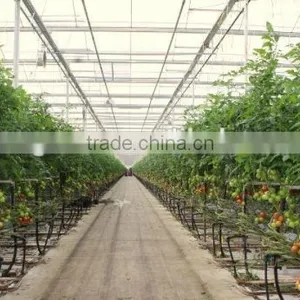 Vegetable Greenhouse thumbnail-2