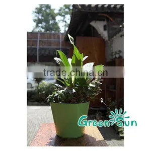 Best Selling Flower Pot With Water Level Indicator,self Watering Planter,plastic Flower Pot,nursery Pots thumbnail-2