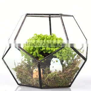 Yiwu Direct Wholesale,cheap Price Cacti Holder Case & Glass Terrarium Diamond thumbnail-3