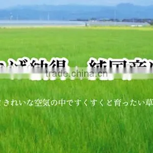 Japanese TATAMI Mats Made in Japan Made of Rush Grass IGUSA for Wholesaler thumbnail-5