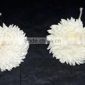 7025-7030 Sola Flower for Diffuser thumbnail-5