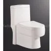 Toilet thumbnail-1