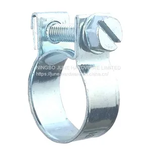 Galvanized Steel W1 Mini Hose Clamp thumbnail-1