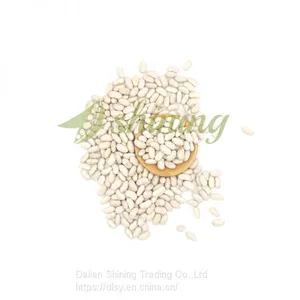 High Quality White Kidney Bean Spanish Type thumbnail-3