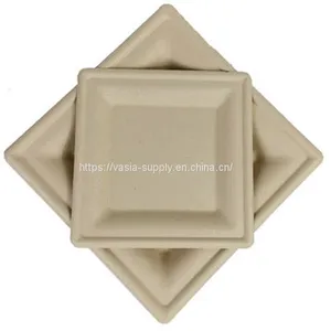 Low Price Biodegradable Disposable Bagasse ‎‎‎26 x 26 x 1.5 cm Square Dishes, for Barbecue, Birthday or Party. thumbnail-4