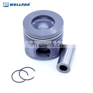 Wellfar Other Auto Parts Piston Engine Parts Pistons for Peugeot thumbnail-1