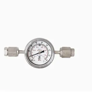 Ultra-high Purity Diaphragm Type Online Instrument, All Steel 50MM EP Grade，Parallel Installation, All Stainless Steel Clean Pressure Gauge thumbnail-2