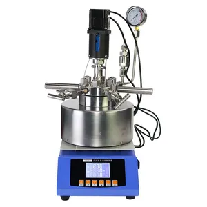 High Temperature and High Pressure Reactor thumbnail-2