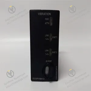 IS220PVIBH1AL Vibration Monitoring Module thumbnail-4