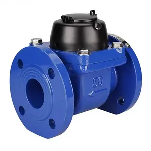 High-Precision Detachable Mechanical Woltman Water Meter for Large Size thumbnail-4