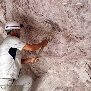 Talc Powder for Coating thumbnail-4