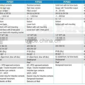 Pressure Gauges Electric Contact/Mechatronic thumbnail-2