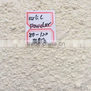 Factory Provide Top Quality Dehydrated Garlic Powder 80-100/100-120 Mesh thumbnail-1