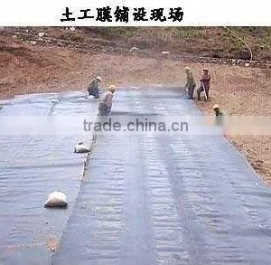 HDPE Geomembrane 0.2mm-4.0mm Geomembrane Liner thumbnail-2