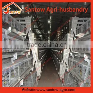 Chicken Use Welded Wire Chicken Layer Cages Chicken Cage Size thumbnail-1