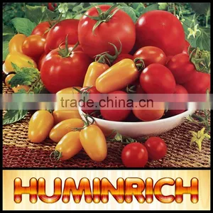 Huminrich Stimulate Root Hair Development Agricultural Fertilizers Sh9016-2 Sodium Humate. I.E. Powder thumbnail-1