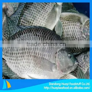 Frozen Whole Round Frozen Tilapia thumbnail-1