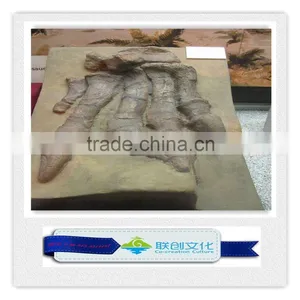 Make Dinosaur Bones Manufacturer in China thumbnail-3