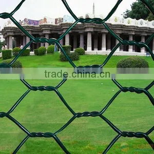 Pvc Chicken Coop Galvanized Wire Mesh thumbnail-1