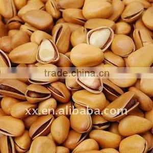 Pine Nut Processing High Quality thumbnail-1