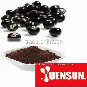 Freeze Dried Acai Berry Powder thumbnail-1