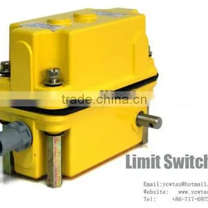 High Temperature Limit Switch 1:13 thumbnail-1