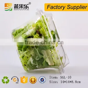 Food Use and PET Plastic Type Disposable Food Salad Container With Lid thumbnail-1