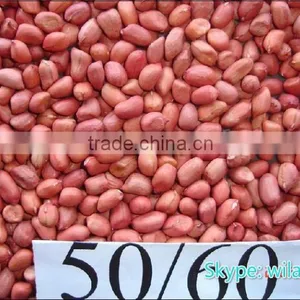 2014 , 2013 Crop Chinese Red Skin Peanuts 50/60 40/50 thumbnail-1