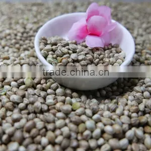 Hemp Seeds 2016 Crop thumbnail-4