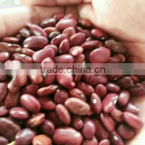 Chinese Small Red Kidney Beans Crop 2014 Factory 100% thumbnail-2