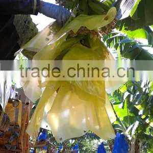 Banana Clip-Sheet thumbnail-5