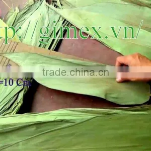 Bamboo Leaf Japan Market; Bamboo Leaves thumbnail-2