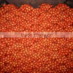 2015 Crop Fresh Yellow Onions With Market Price thumbnail-4