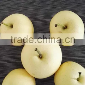Fruits South Africa Pear Fruit thumbnail-3