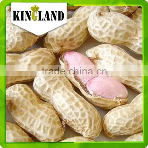 Manufacturer Peanut in Shell thumbnail-2