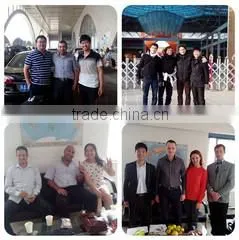 Henan Alchemy Food Co., Ltd. company overview - view 3 thumbnail