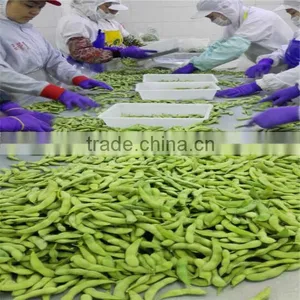 Beans IQF & Frozen Edamame thumbnail-1