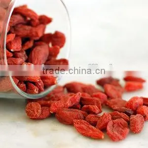 Goji Berry thumbnail-2