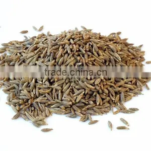 CUMIN ESSENTIAL OIL thumbnail-3