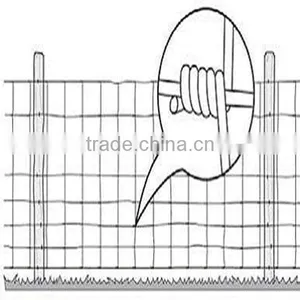 Anping Wanhua--Electric Grassland Field Fence thumbnail-6
