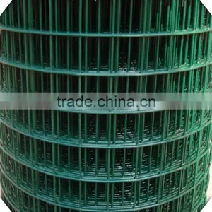 1*30m Hot Sale 1/4 Inch Galvanized Welded Wire Mesh for Sale thumbnail-4