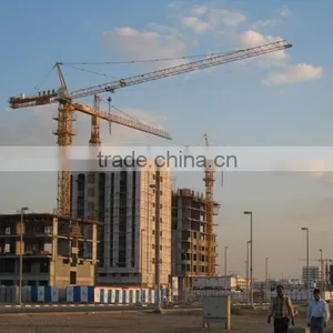 Chinese Famous Tower Crane in Building Mansion up to 140 Meters TC4010 thumbnail-3