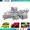 Multi-function Washing Machine for Vegetables and Fruits Bubble Washer thumbnail-3
