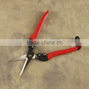 Needle Nose Pruner thumbnail-1