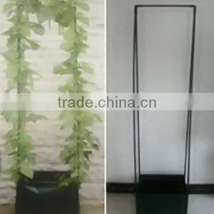 Garden Growing Spiral Stake thumbnail-1