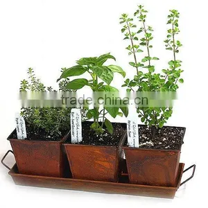Copper Trio Planter Kit, Copper Growing Planters, Copper Herb Planter thumbnail-1