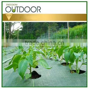 Black Plastic Ground Cover thumbnail-5