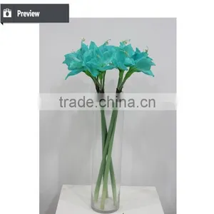 Cheap Wholesale Large Amaryllis for Halloween Arrangement thumbnail-3