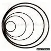 Standard O_Rings thumbnail-1